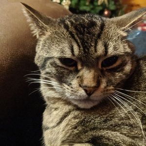 Meet your Posher, Travis